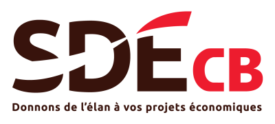 SDE_Logo_Colour (1)